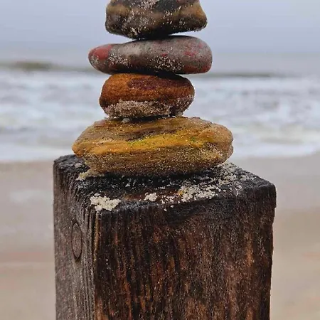 Mare-blisko Morza 米兹多洛杰