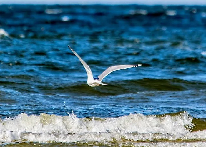 Mare-blisko Morza * Miedzyzdroje